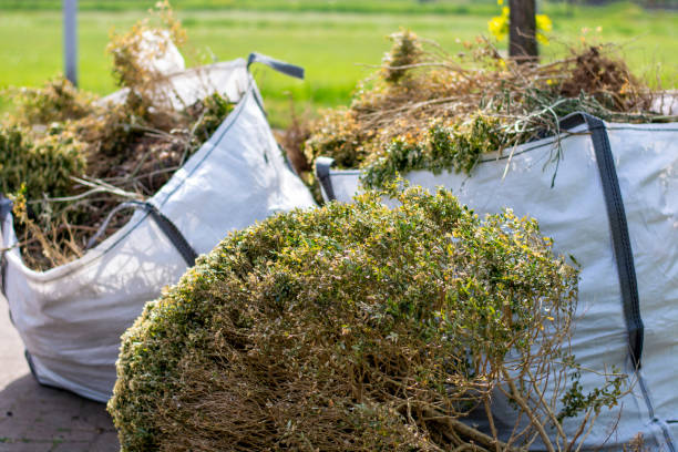 Best Yard Waste Removal  in North Lewisburg, OH